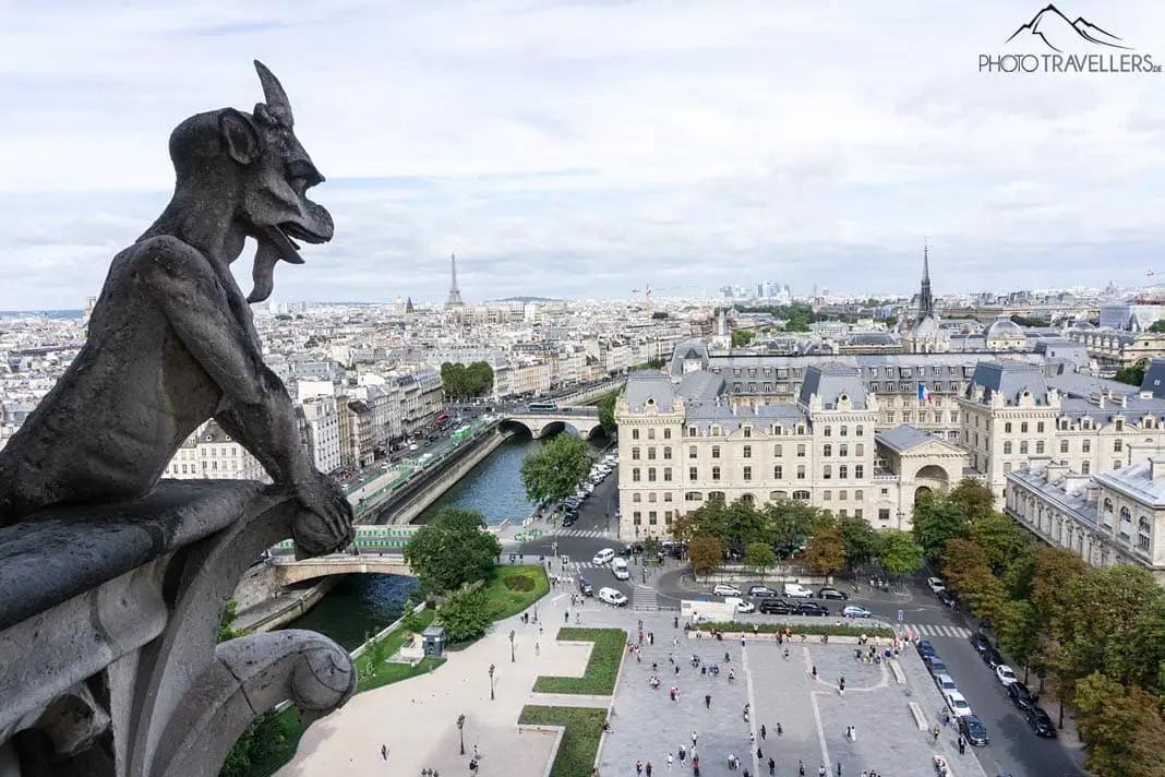 Ausblick Südturm Notre Dame